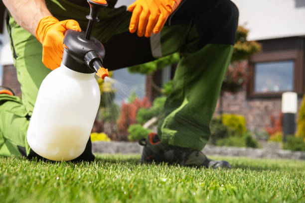 Best Best Pest Control Companies  in Argos, IN